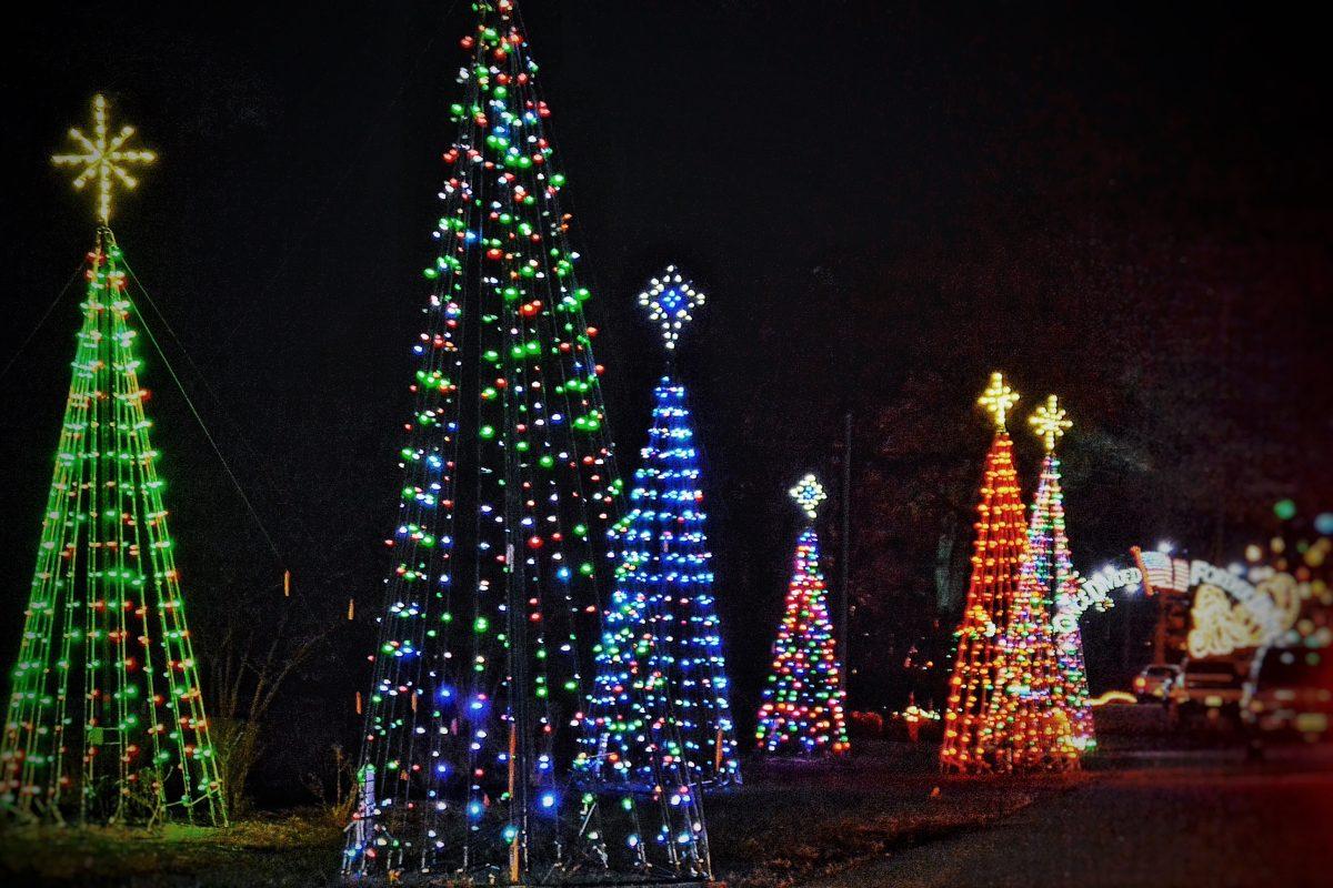 Christmas Lights in the shape of modern style christmas trees