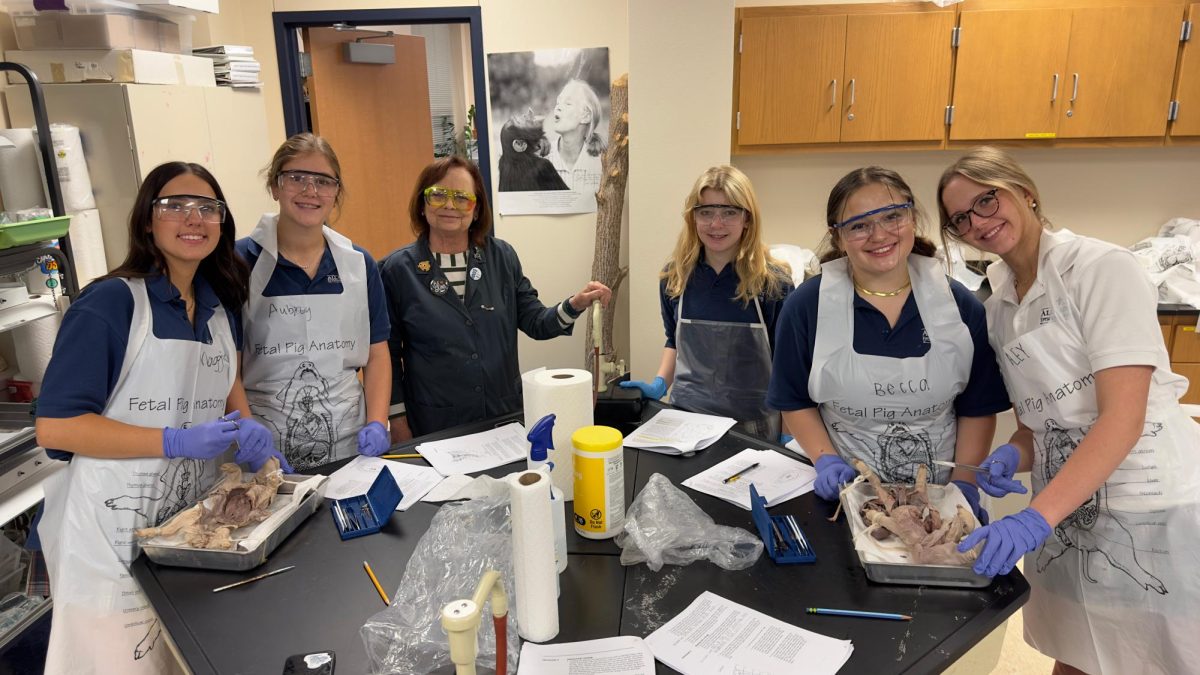 Mrs. Braun leads a dissection lab every spring at All Saints' Episcopal School.