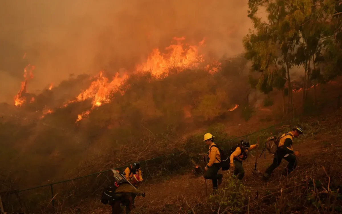 LA Fires: The Dangerous Truth Behind the Rising Arson Threat